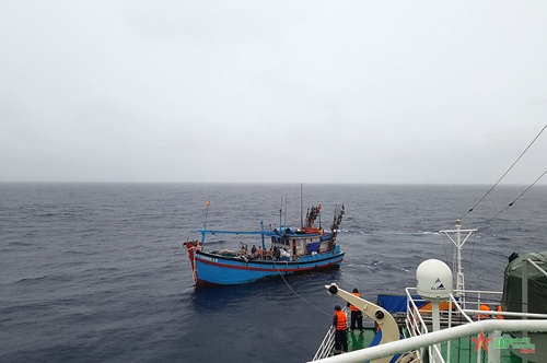Vùng 2 Hải quân cứu tàu cá và 12 ngư dân bị trôi dạt trên biển
